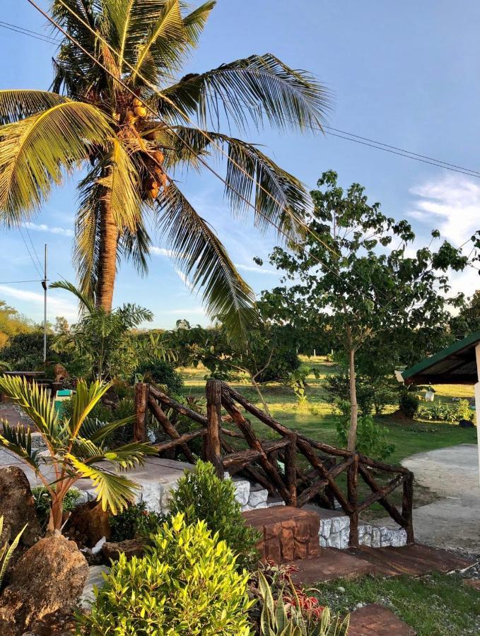 Michaels Homestay - Farm Villa Nr Patar Beach & Bolinao Falls Экстерьер фото